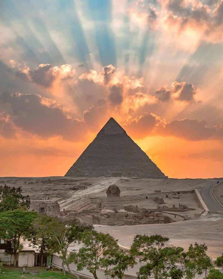 مصر